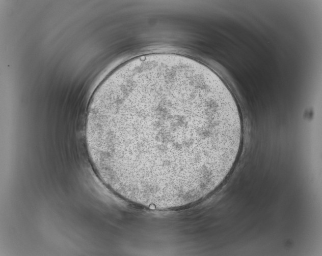 X0000114021244200911131219