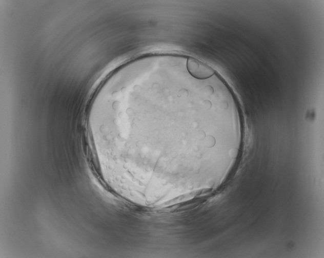 X0000114021245200911131219