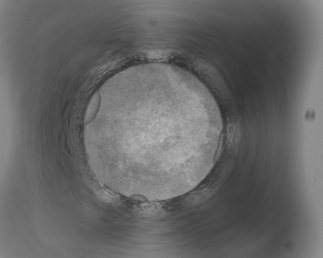 X0000114021249200911131219