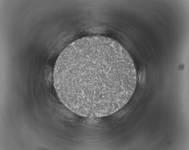 X0000114021251200911131219