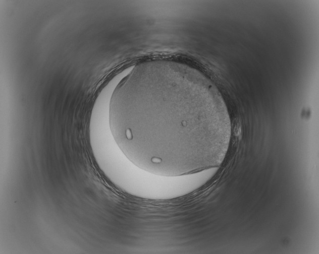 X0000114021252200911131219