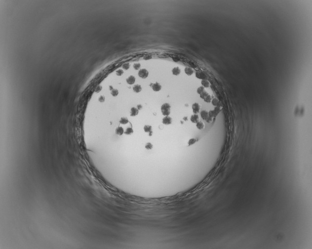 X0000114021256200911131219