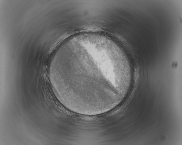 X0000114021257200911131219