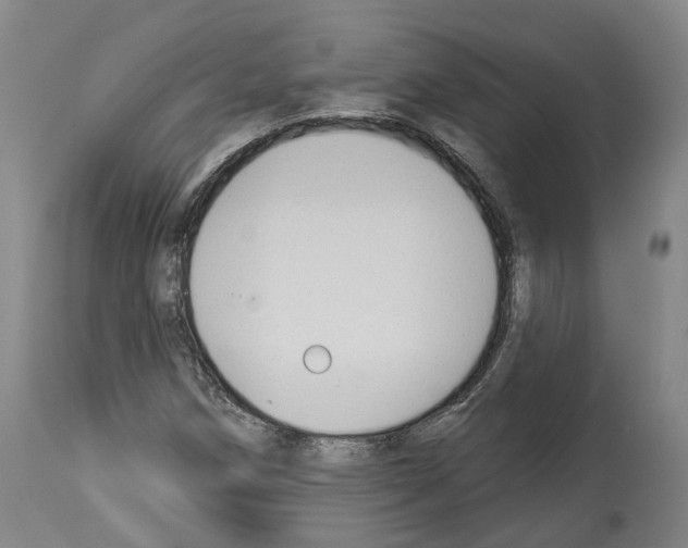 X0000114021258200911131219