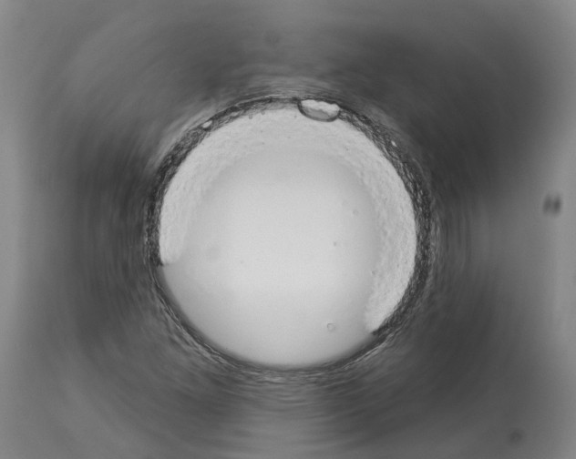 X0000114021261200911131219