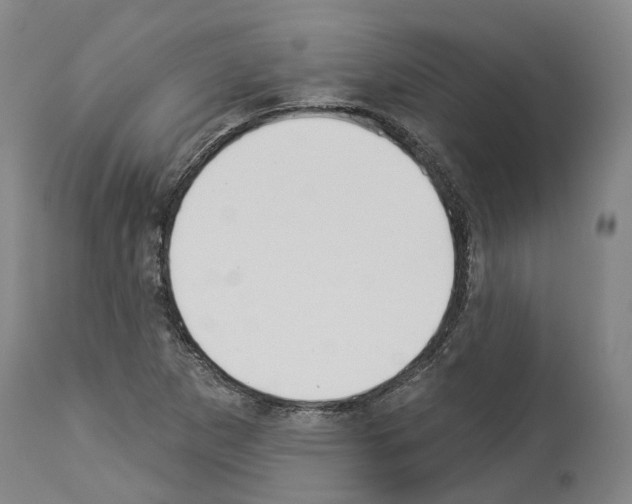 X0000114021265200911131219