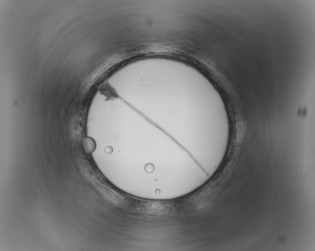 X0000114021266200911131219