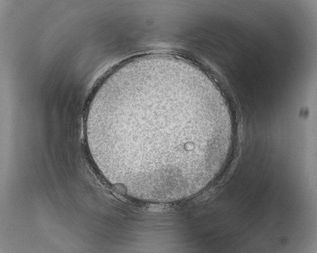 X0000114021267200911131219