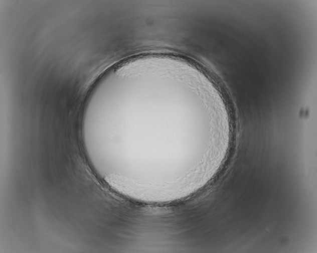 X0000114021269200911131218