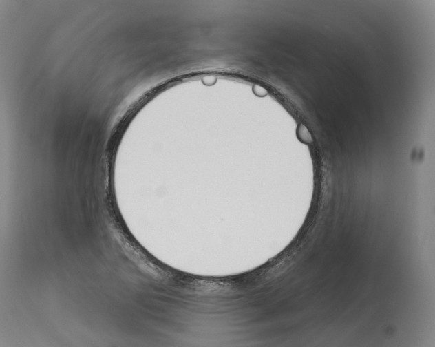 X0000114021270200911131218