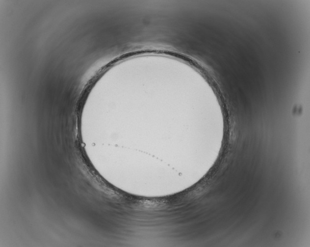 X0000114021271200911131218