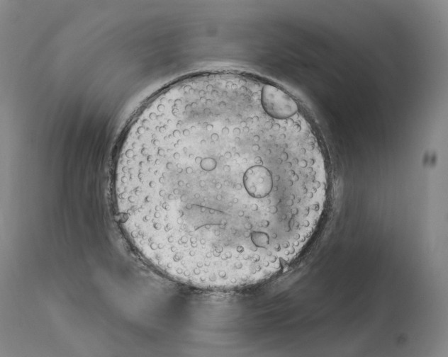 X0000114021279200911131218