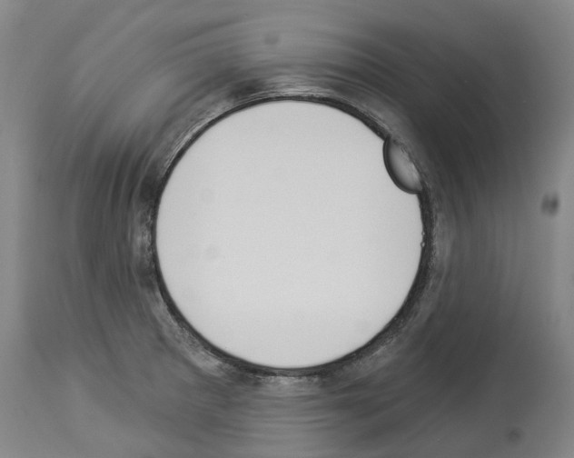 X0000114021281200911131218