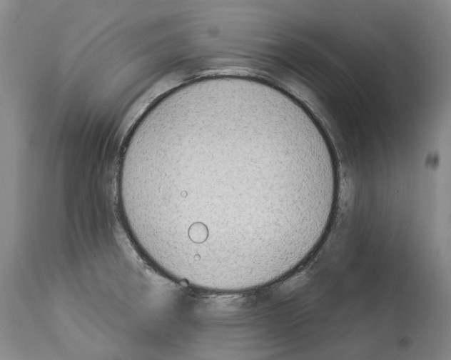 X0000114021282200911131218