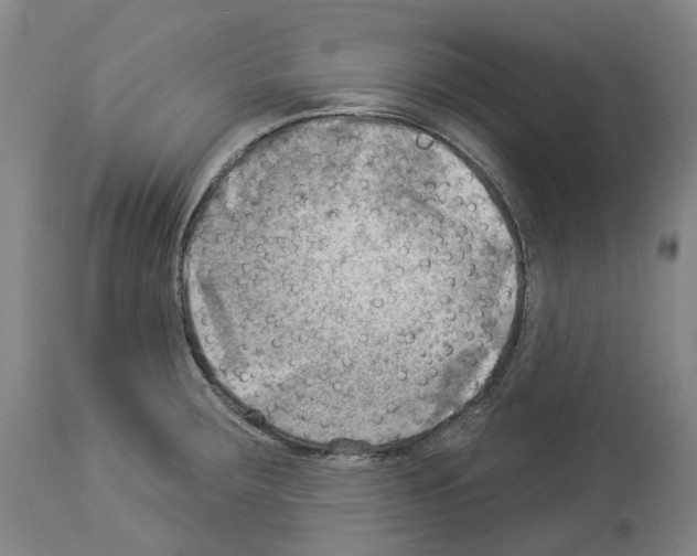 X0000114021283200911131218