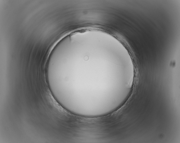 X0000114021284200911131218