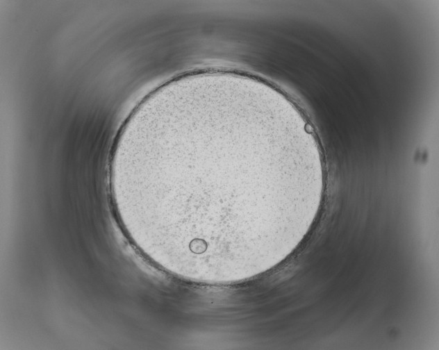 X0000114021287200911131218