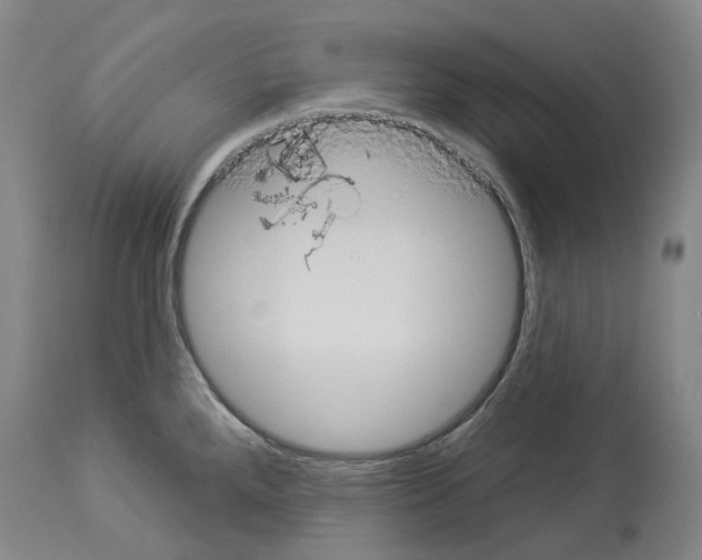 X0000114021288200911131218