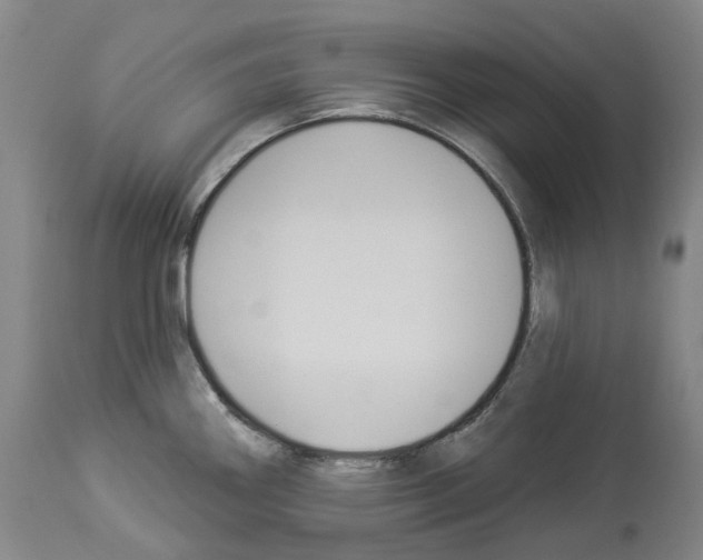 X0000114021290200911131218