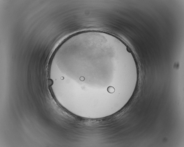 X0000114021291200911131218