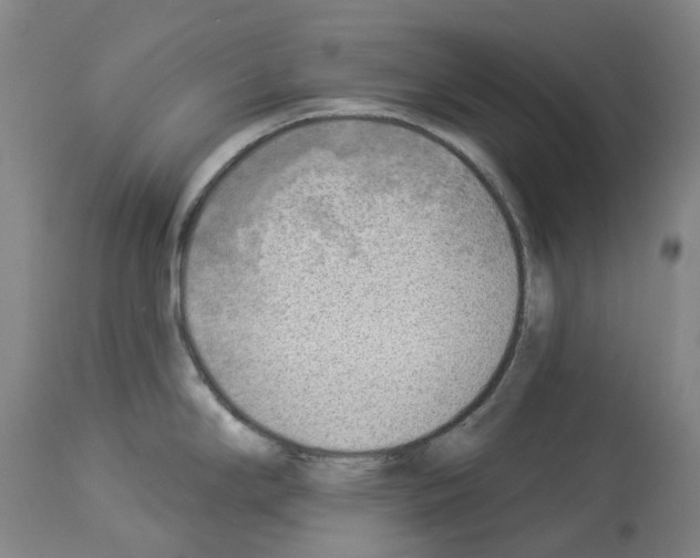 X0000114021294200911131218