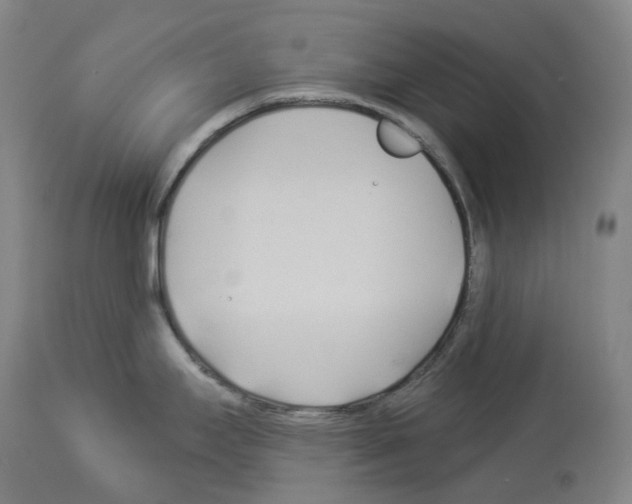 X0000114021295200911131218