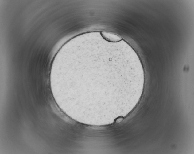 X0000114021296200911131218