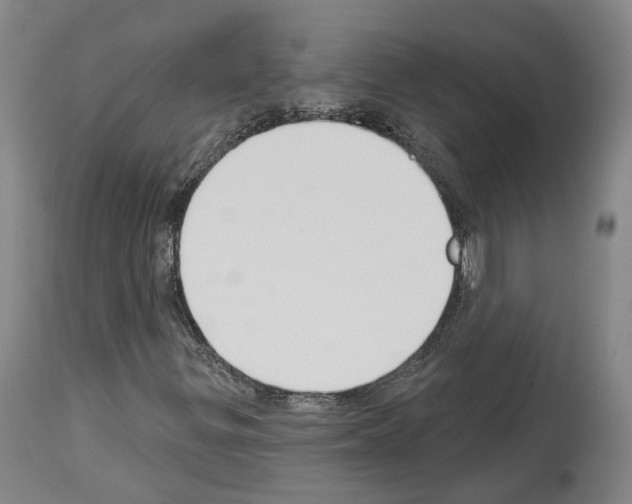 X0000114021299200911131217