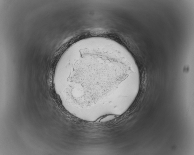 X0000114021301200911131218