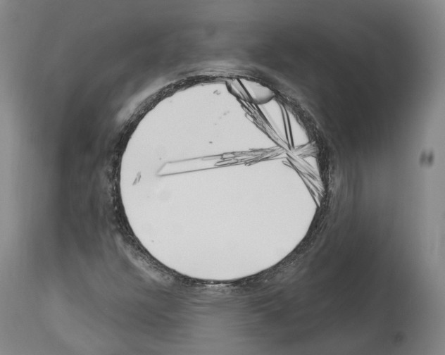 X0000114021304200911131218