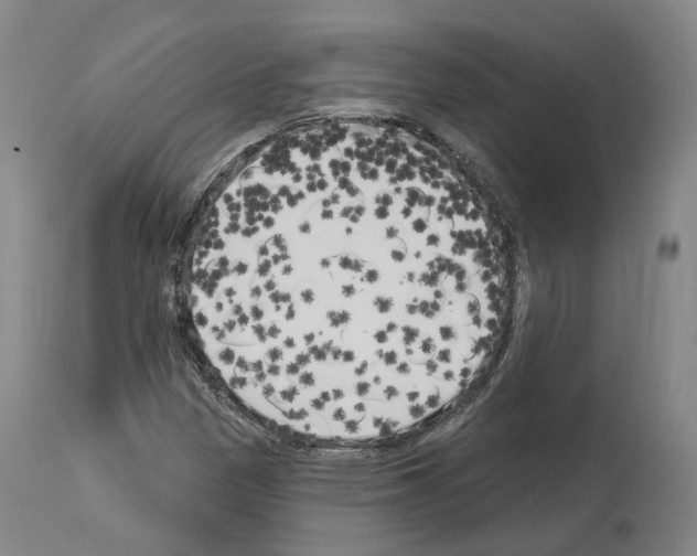 X0000114021305200911131218