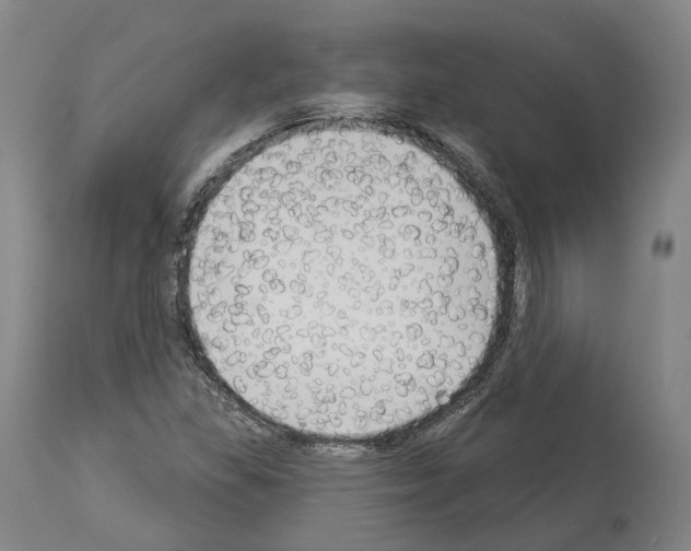 X0000114021309200911131218