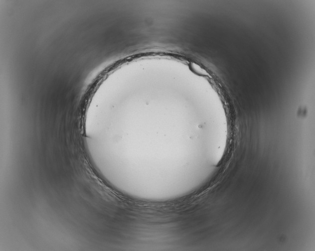 X0000114021310200911131218