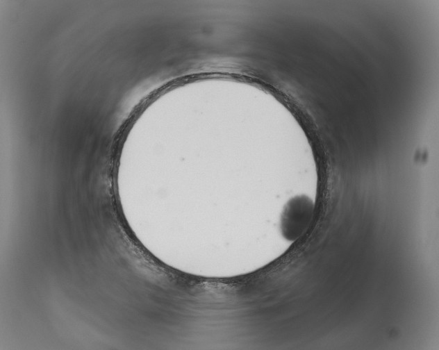 X0000114021312200911131218