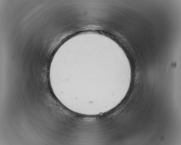 X0000114021313200911131218