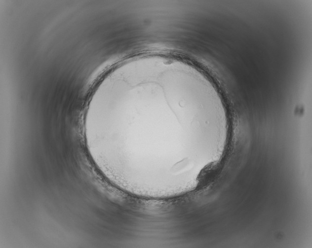 X0000114021314200911131218