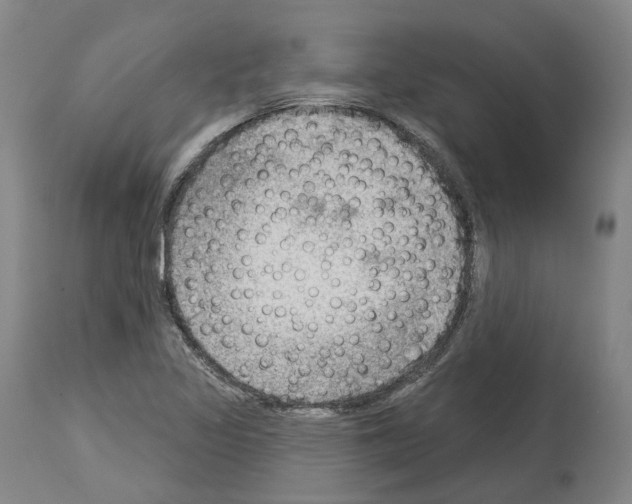 X0000114021317200911131218