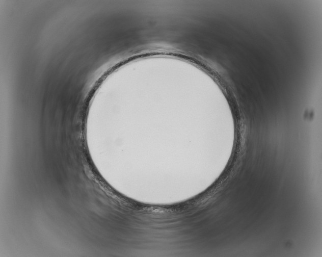 X0000114021318200911131218