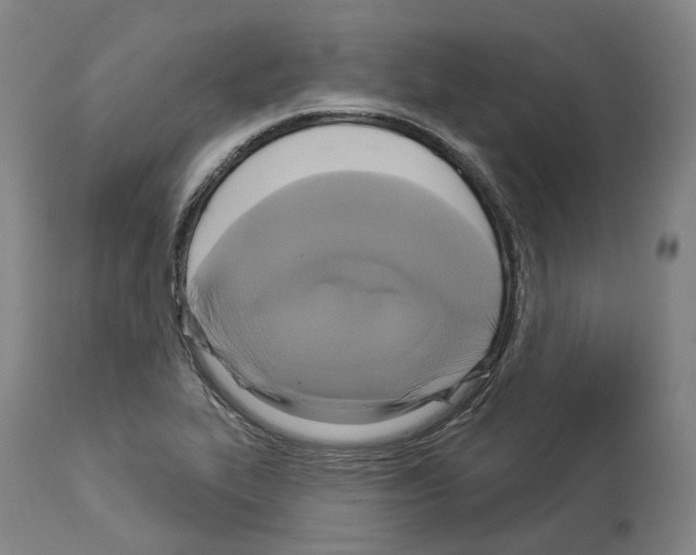 X0000114021319200911131218