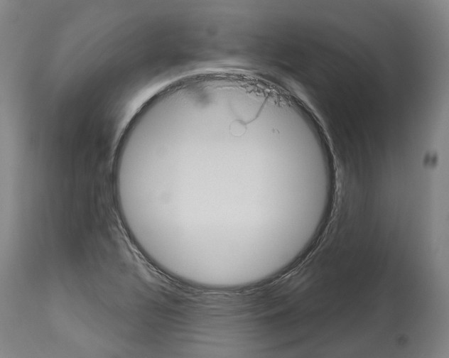 X0000114021320200911131218