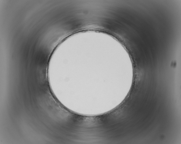 X0000114021322200911131218