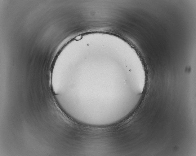 X0000114021324200911131218