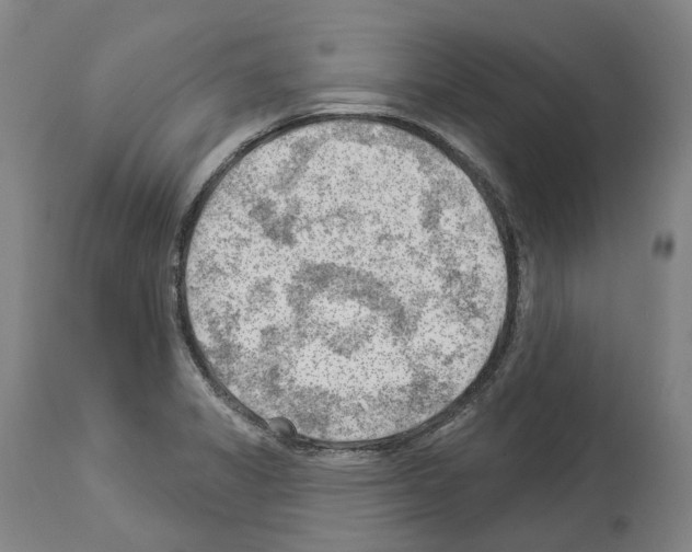 X0000114021325200911131218