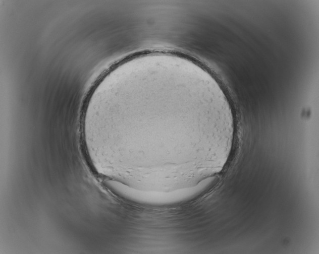 X0000114021327200911131218