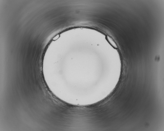 X0000114021328200911131218