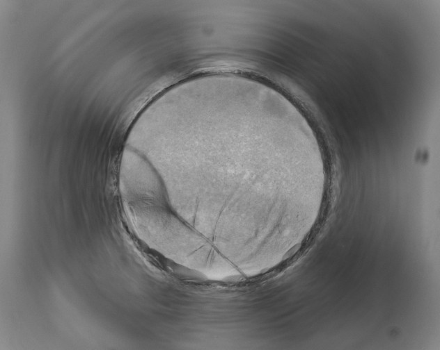 X0000114021329200911131218