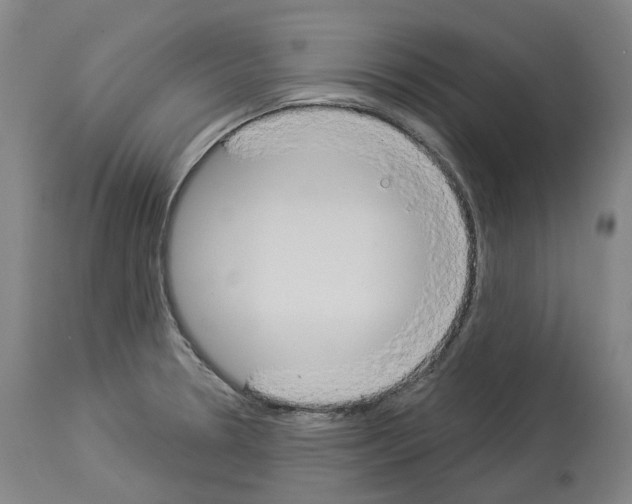 X0000114021330200911131218