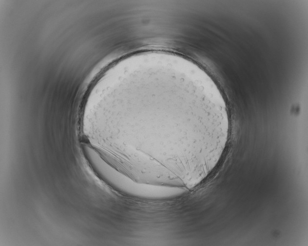 X0000114021331200911131218