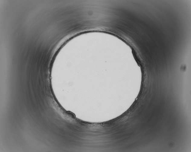 X0000114021332200911131218