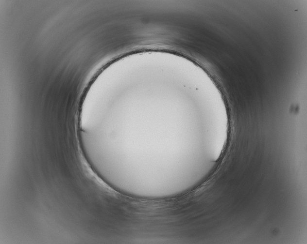 X0000114021334200911131218